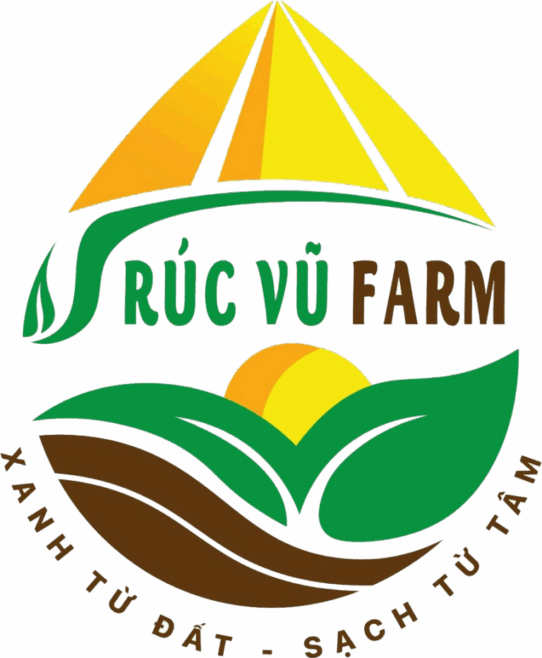 Cau Giống Quảng Nam